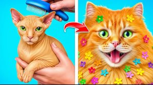 Забавные ситуации с животными и их хозяевами