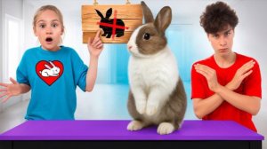 Кто останется жить у нас дома? КРОЛИК или КОТ?