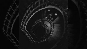 Mr.Lambo, Пабло - Organic (Official Audio)