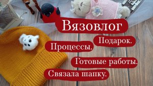 Вязовлог. | Подарок. | Процессы и готовые работы. | Связала шапку. | Опять вяжу снегирей.