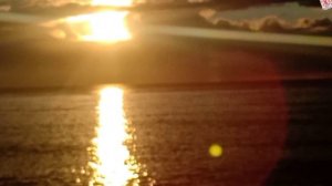 ПРЕКРАСНОСТЬ ПО ИМЕНИ ЖИЗНЬ