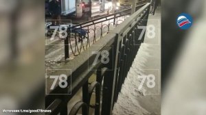 В Петербурге 15-летий школьник пытался зарезать 29-летнюю учительницу