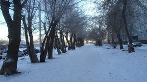 ЗИМНИЕ БУДНИ