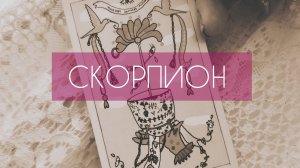 ЯНВАРЬ 2026🎅