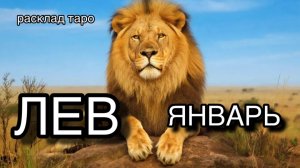 ЛЕВ таро прогноз на ЯНВАРЬ 2026 [расклад таро] [гадание онлайн]
