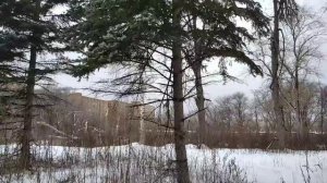 Вот и зима ❄.  Но гулять все равно надо в любую погоду.