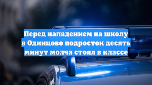Перед нападением на школу в Одинцово подросток десять минут молча стоял в классе