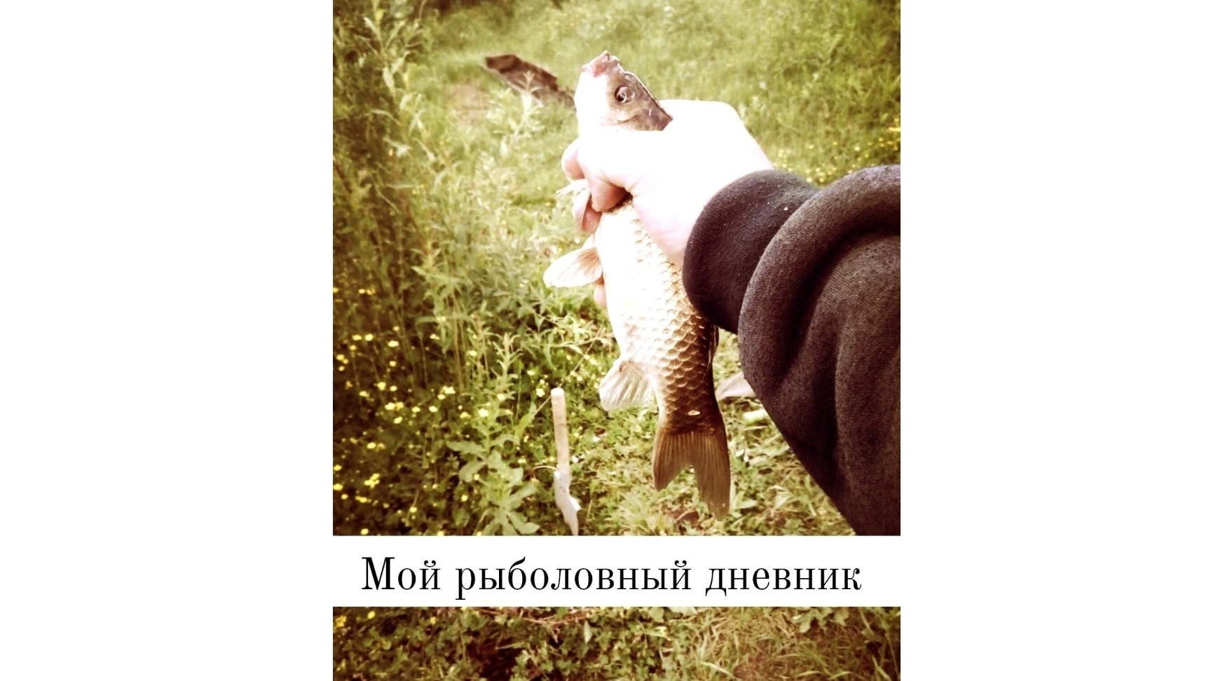 Киселевск пруд породы отчёт Рыбалка 2023 год и 2025 год