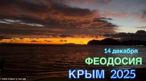 КРЫМ 2025 | ФЕОДОСИЯ | 14 декабря ❤️🌊⛰️🏖️🏄♂️🐬