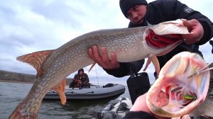 Случилось невозможное! Рекордные рыбины в отвес! Рыбалка на судака и крупную щуку