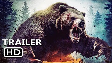 Официальный трейлер фильма «Ночь медведя»