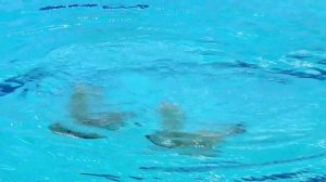 Artistic Swimming World League 2025 Dubai Mixed Duets