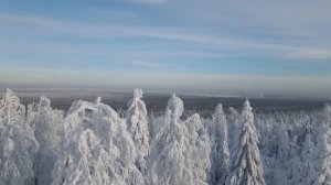 Гороскоп на 16 декабря. Ввш удачный вторник.