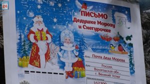 В числе добрых волшебников Абакана прибыло: очередные письма сняты с  городской "Ёлки желаний"