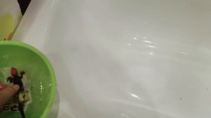 ящерица гром