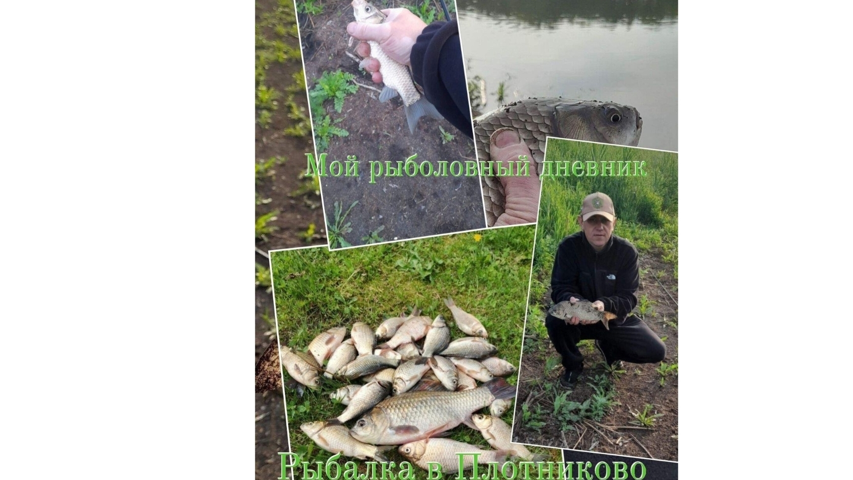 Рыбалка в Плотниково . Ловля карася на пруду сухие берёзки.