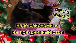 Кошки с озвучкой.