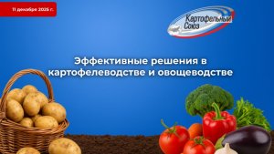 Эффективные решения в картофелеводстве и овощеводстве