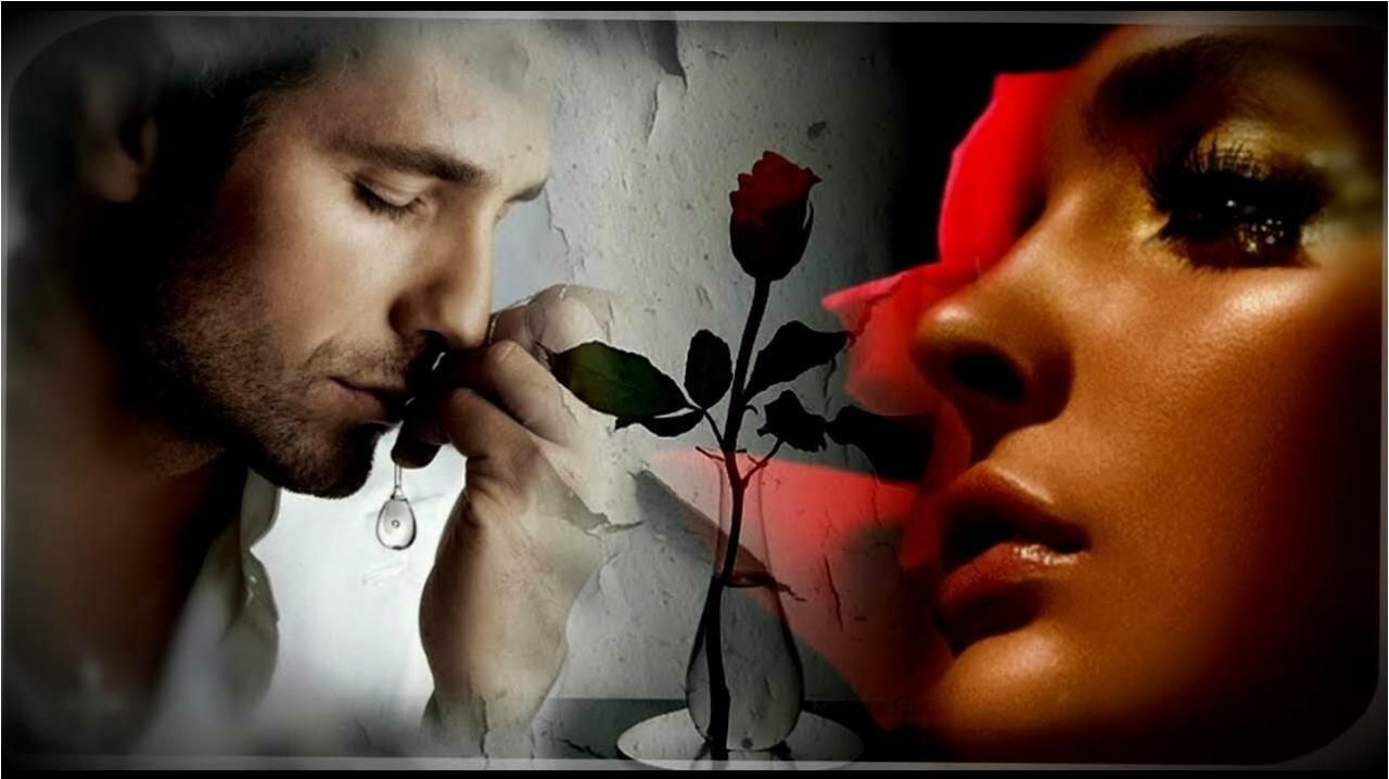 ОНА ЛЮБИЛА РОЗЫ