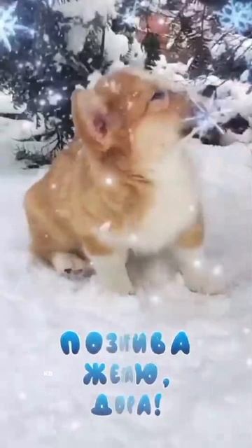 #видеооткрытка #доброеутро #пожелания #shortvideo #short #2025 #katyboro #рек #топ #врек #видео