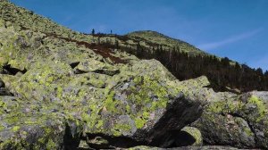 Поднебесные зубья 2019