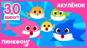 Акулёнок туруру туру  +Сборник  Песни про Животных  Семья Акул  Пинкфонг песни для детей