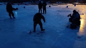 Поимка форели. РК Фишка Липки.