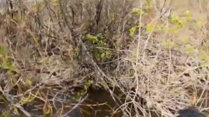 video_2025-09-29_15-10-20