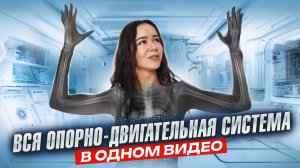 Опорно-двигательная система: тотальный разбор для ЕГЭ по биологии | Умскул