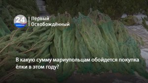 В какую сумму мариупольцам обойдется покупка ёлки в этом году? 16.12.2025