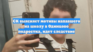 СК выясняет мотивы напавшего на школу в Одинцово подростка, идет следствие