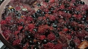 Парки/белки, утки/обстановка на воде/подъезд/ДР