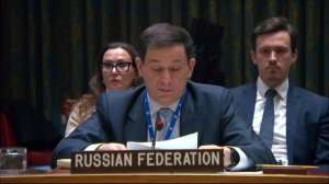 Выступление Д.А.Полянского в СБ ООН на тему: «Лидерство во имя мира»