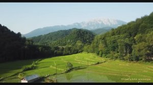 #Коран#АнНисаъ#СамыеКрасивыеМеста#Relaxation##Islam#Quran#AnNisa'#Minshawiy #4кВидео#31часть#