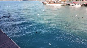 🔥Зима в Геленджике. Декабрь 2025 🔥Посмотрим город и море...