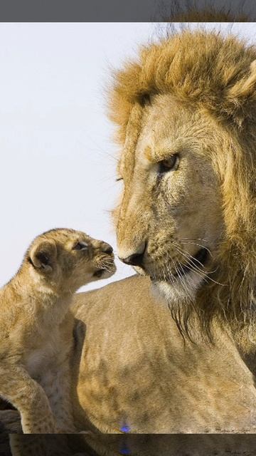 Взгляд в будущее