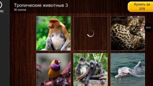 Jigsaw Puzzle Epic 242 Серия Игра 2025