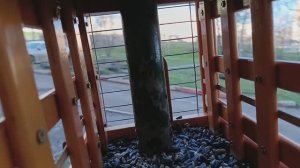 Сегодня сильный ветер 🌬️ , но птицы были покормлены ,раскачивающяяся кормушка их не испугала.