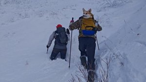 гора Лопатина Сахалин, октябрь 2025.mp4