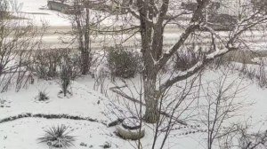 Один из дней города Евпатории | 13 февраля 2021 год  Крым  ХАН БАТОН XAH 6ATOH | VID_20210213_115434