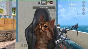 Играем в Стенд на стриме