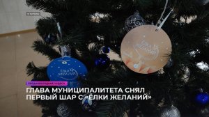 Глава муниципалитета снял первый шар с «Ёлки желаний»