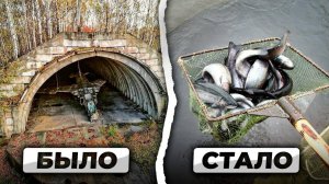 Строим в Бывших Ангарах Рыбную Ферму на 200 ТОНН ФОРЕЛИ! Большой Обзор на РЫБНУЮ ФЕРМУ УЗВ