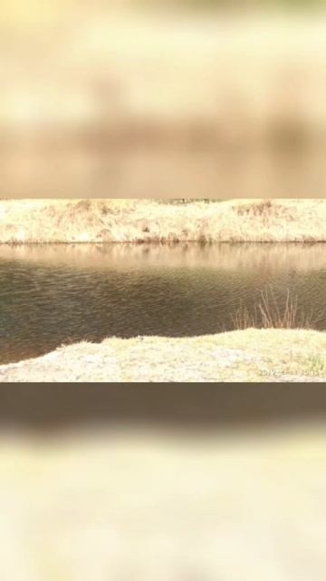 Архив за 2019 г. 14 природажизнь