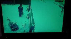 Мороз до 20 град. Выхожу на пост свой.  29. 11. 2025