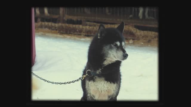 ETUризм. Снежная Карелия