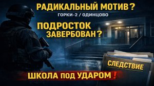 ЧП в школе Одинцово: раскрыты новые детали нападения