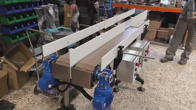 Транспортёр пластинчатый двойной (для сортировки)