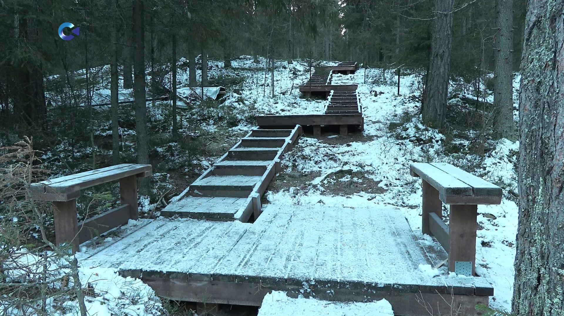 В заказнике «Заозерский» может появиться 10-километровый экомаршрут со смотровой площадкой