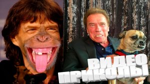 ПРИКОЛ \ ПОДБОРКА ПРИКОЛОВ Я РЖАЛ ДО СЛЕЗ, ЛУЧШИЕ ПРИКОЛЫ 2025 СМЕШНЫЕ ВИДЕО, ДЕВУШКИ , ПОДБОРКА